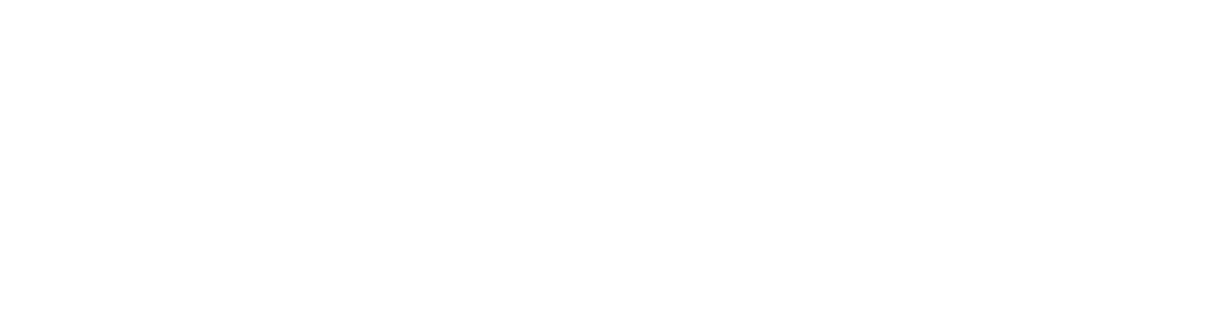 Apihom logotype white
